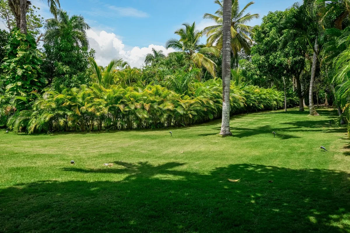 Private garden lawn with tropical planting, Los Lagos 64, Los Lagos, Casa de Campo®